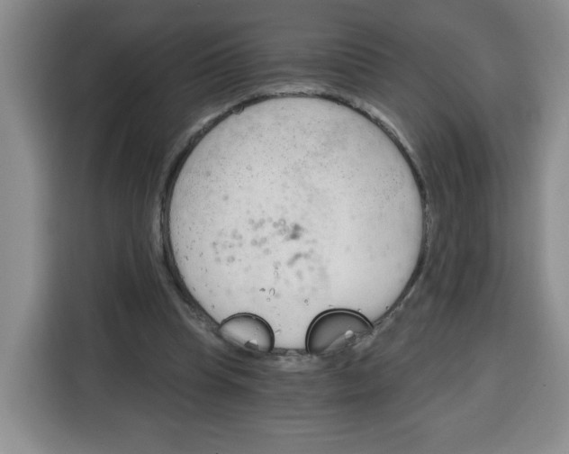 X0000115080345200911241146