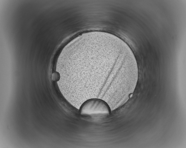 X0000115080346200911241146