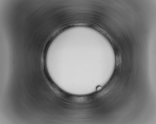 X0000115080349200911241146