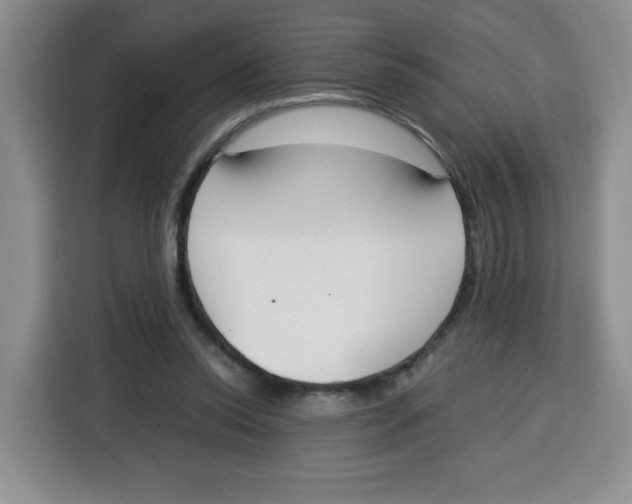 X0000115080350200911241146