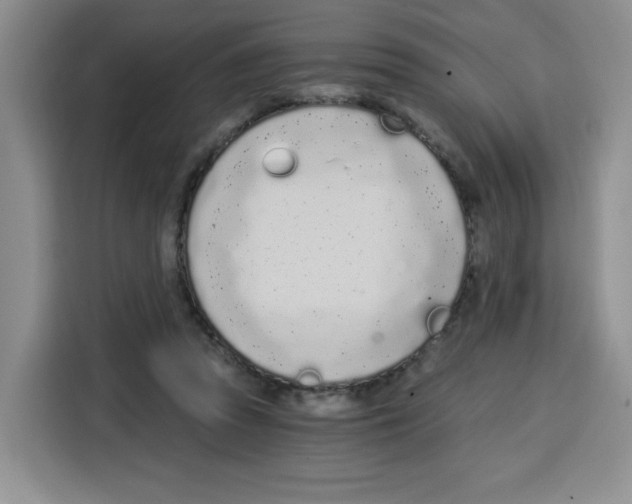 X0000115080353200911241146