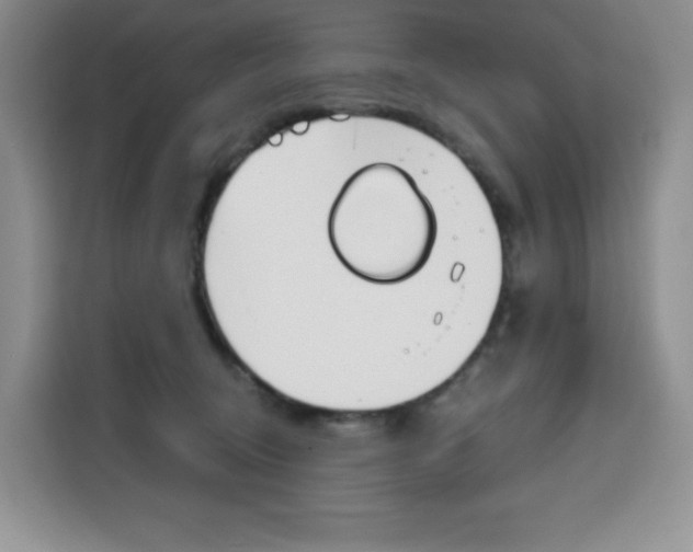 X0000115080370200911241147