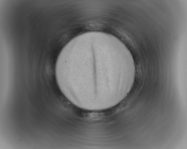 X0000115080371200911241147