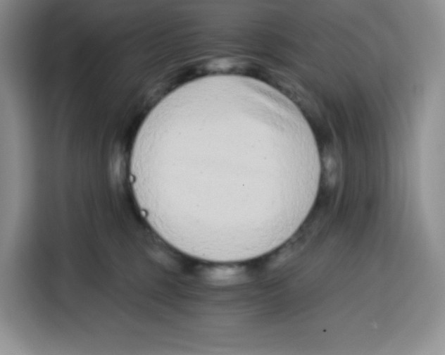 X0000115080375200911241147