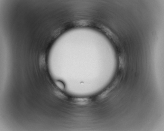 X0000115080377200911241147