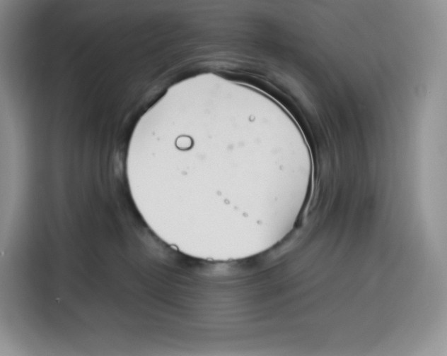 X0000115080382200911241147