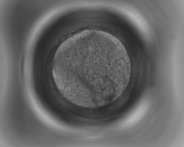 X0000115080383200911241147