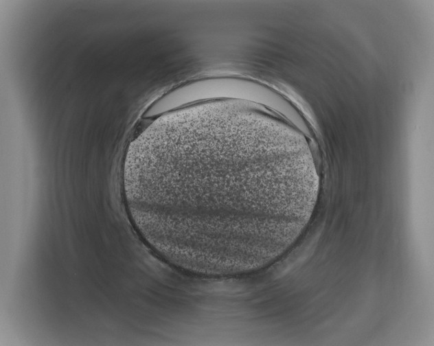 X0000115080385200911241146