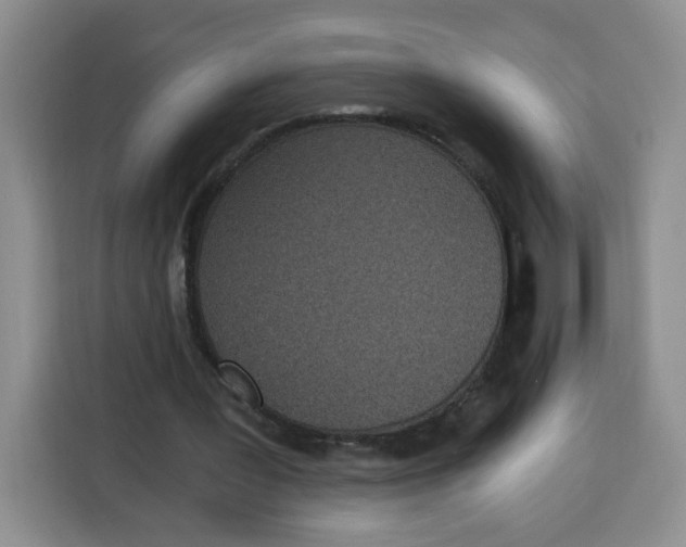 X0000115080387200911241146