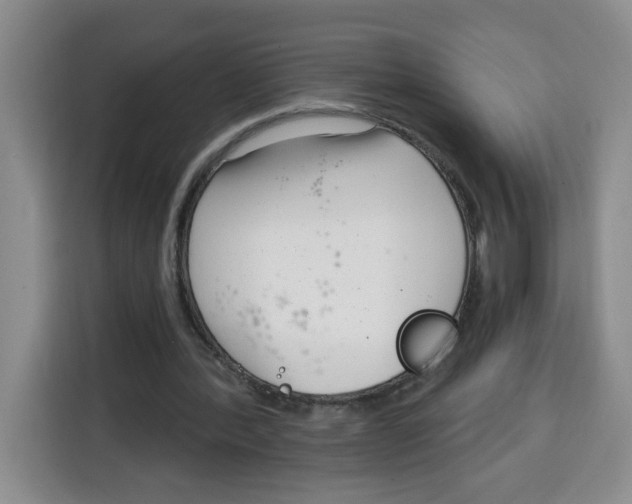 X0000115080388200911241146