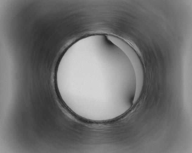 X0000115080389200911241146