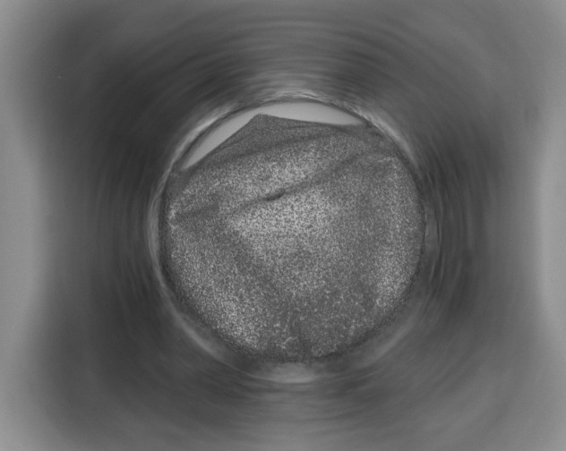 X0000115080390200911241146