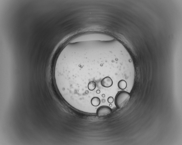 X0000115080392200911241146