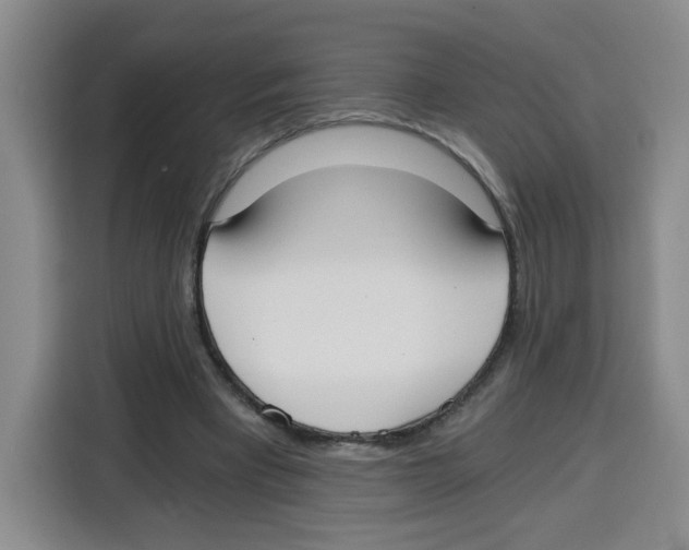 X0000115080393200911241146