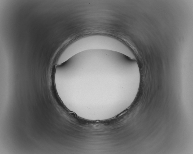 X0000115080395200911241146