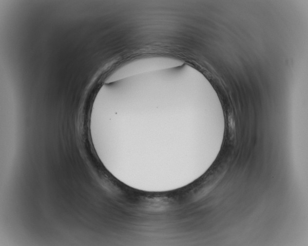 X0000115080396200911241146