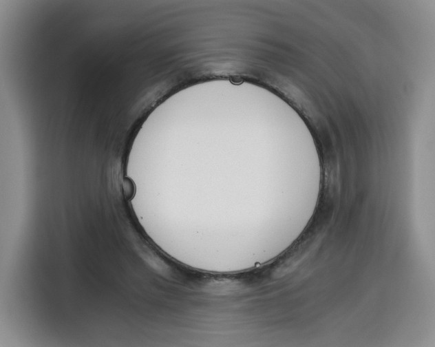 X0000115080397200911241146