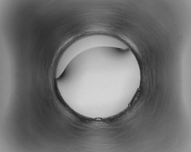 X0000115080399200911241146