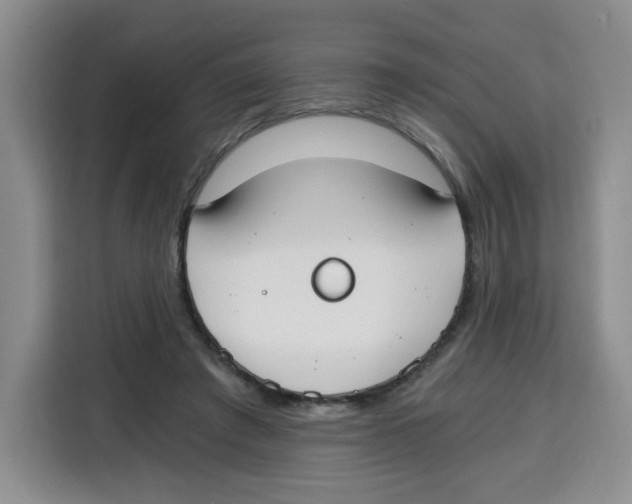 X0000115080401200911241146