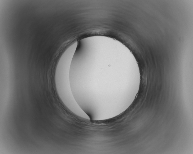 X0000115080403200911241146