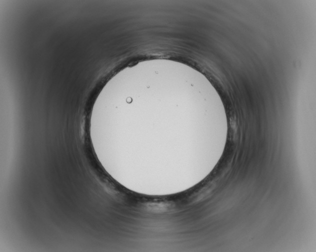 X0000115080404200911241146