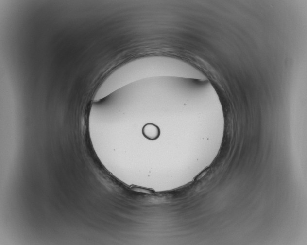 X0000115080405200911241146