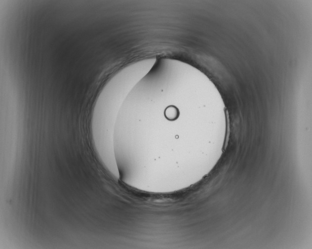 X0000115080407200911241146