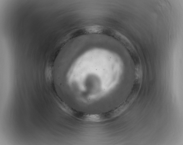 X0000115080409200911241146