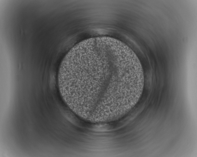 X0000115080410200911241146