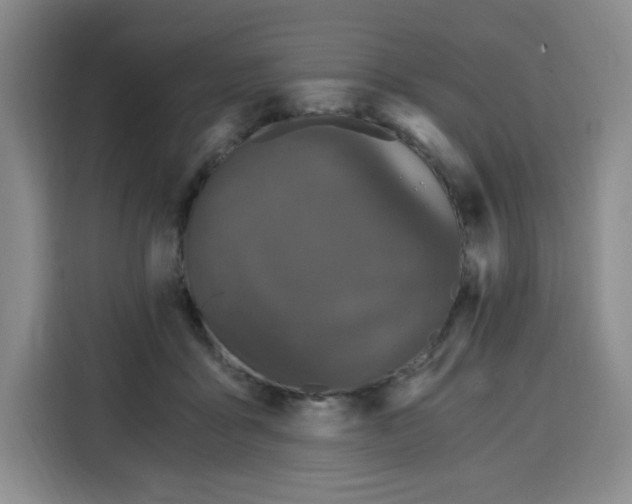 X0000115080411200911241146