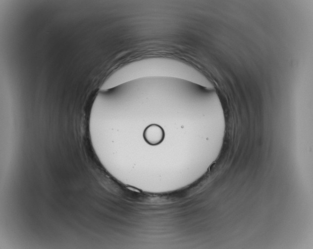 X0000115080413200911241146