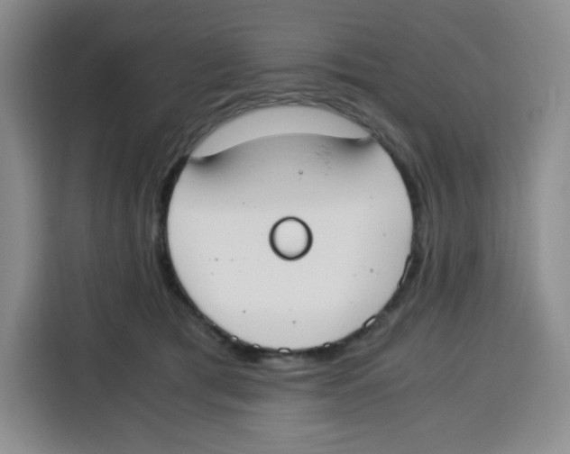 X0000115080417200911241146