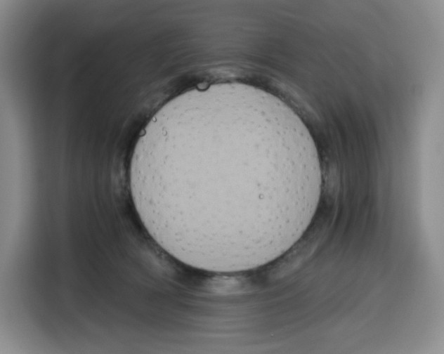 X0000115080418200911241146