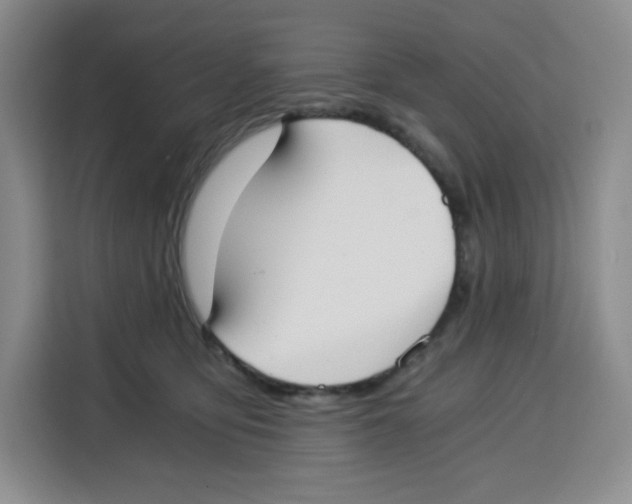 X0000115080419200911241146