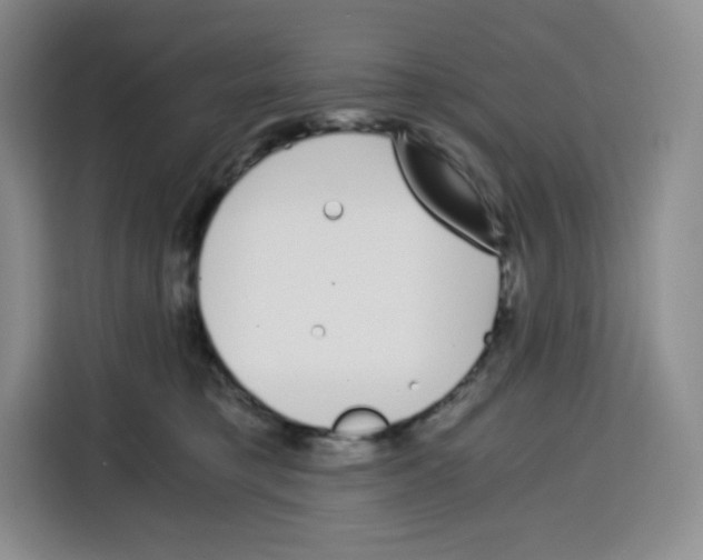 X0000115080421200911241146