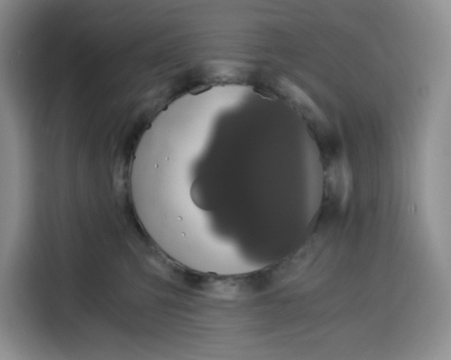 X0000115080423200911241146