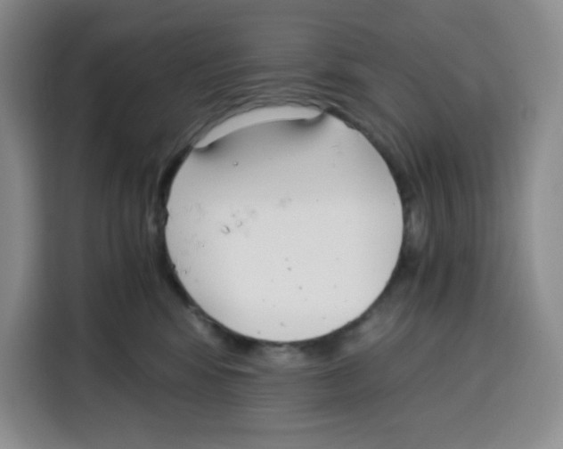 X0000115080424200911241146