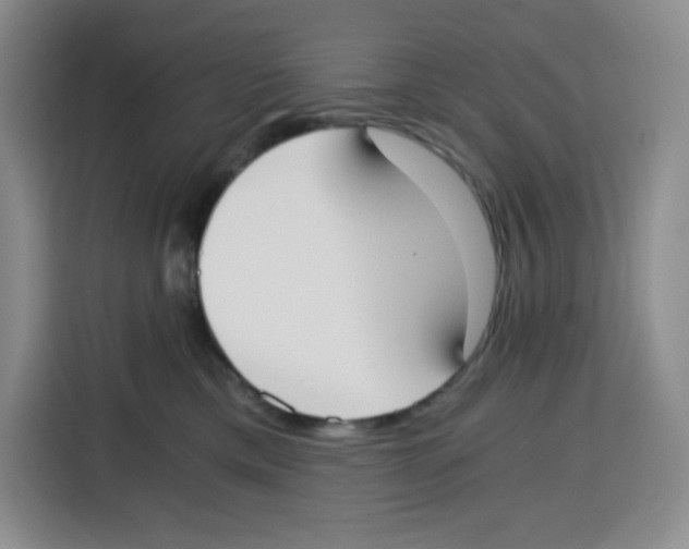 X0000115080425200911241146