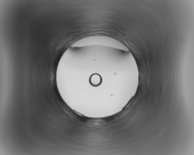 X0000115080427200911241146