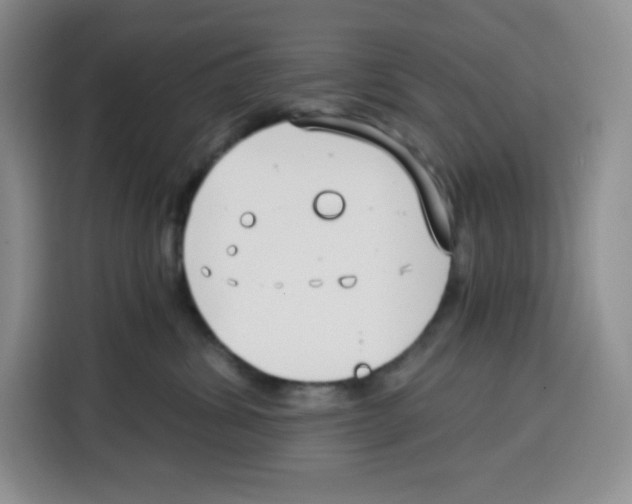 X0000115080428200911241146