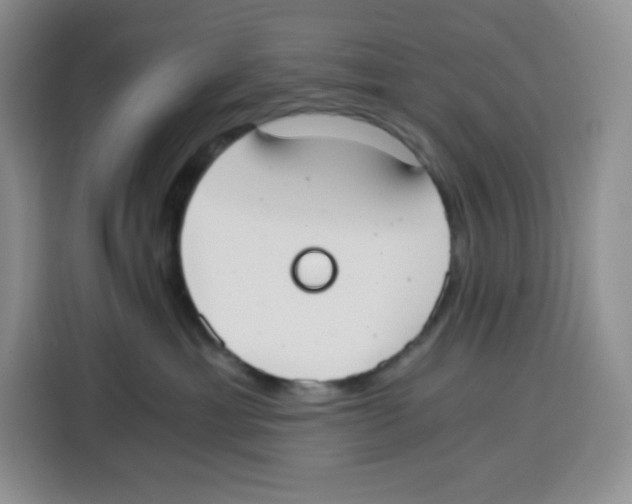 X0000115080429200911241146