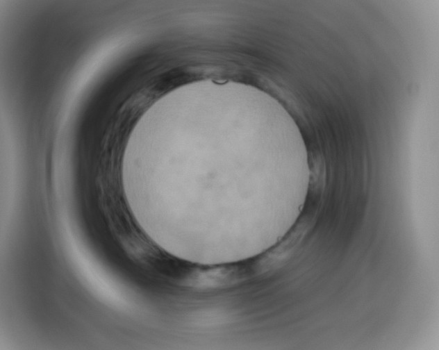 X0000115080430200911241146