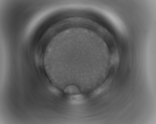 X0000115080431200911241146