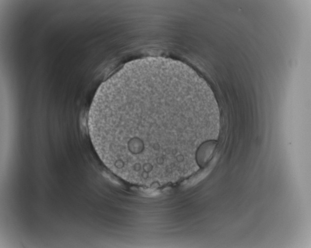 X0000115080432200911241146