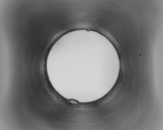 X0000115080434200911241145