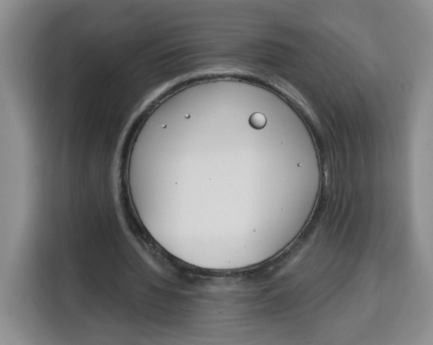 X0000115080436200911241145