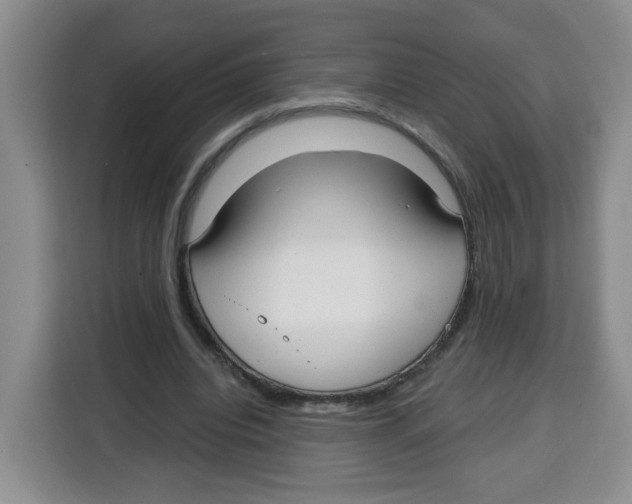 X0000115080440200911241145