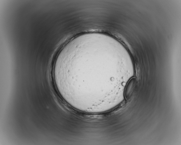 X0000115080443200911241145