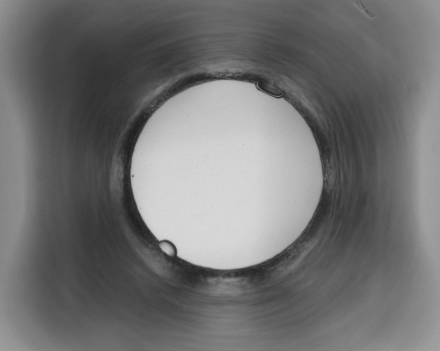 X0000115080448200911241145