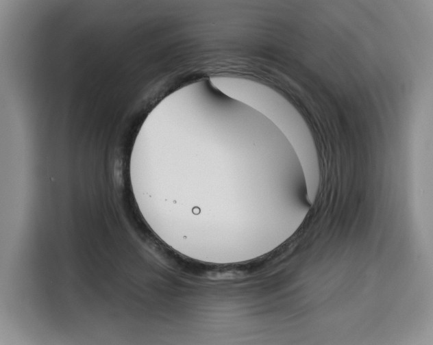 X0000115080452200911241145